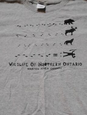 Gildan Gray Wildlife of Northern Ontario Graphic Tee